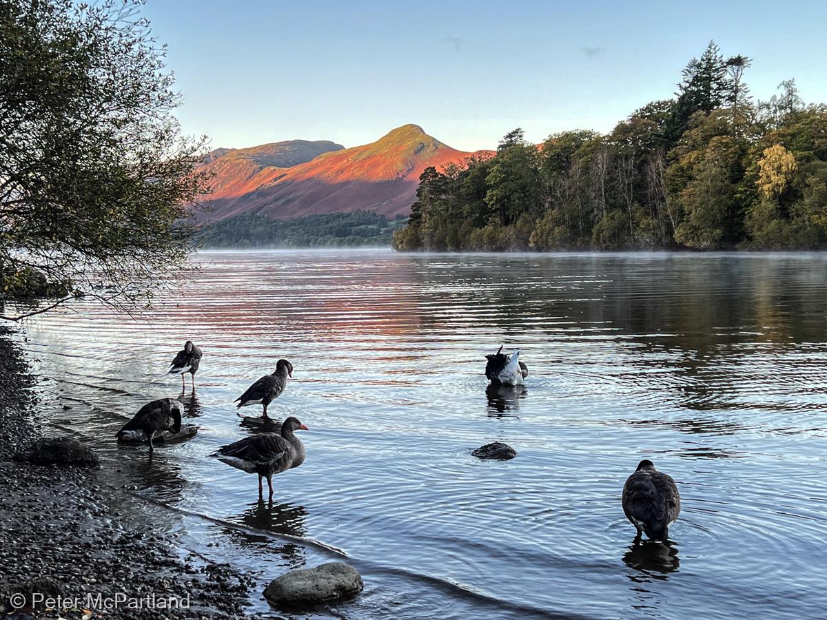 Derwentwater Dawn by Peter McPartland