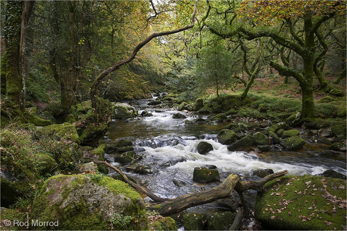 The River Plym on Dartmoor by Rod Morrod