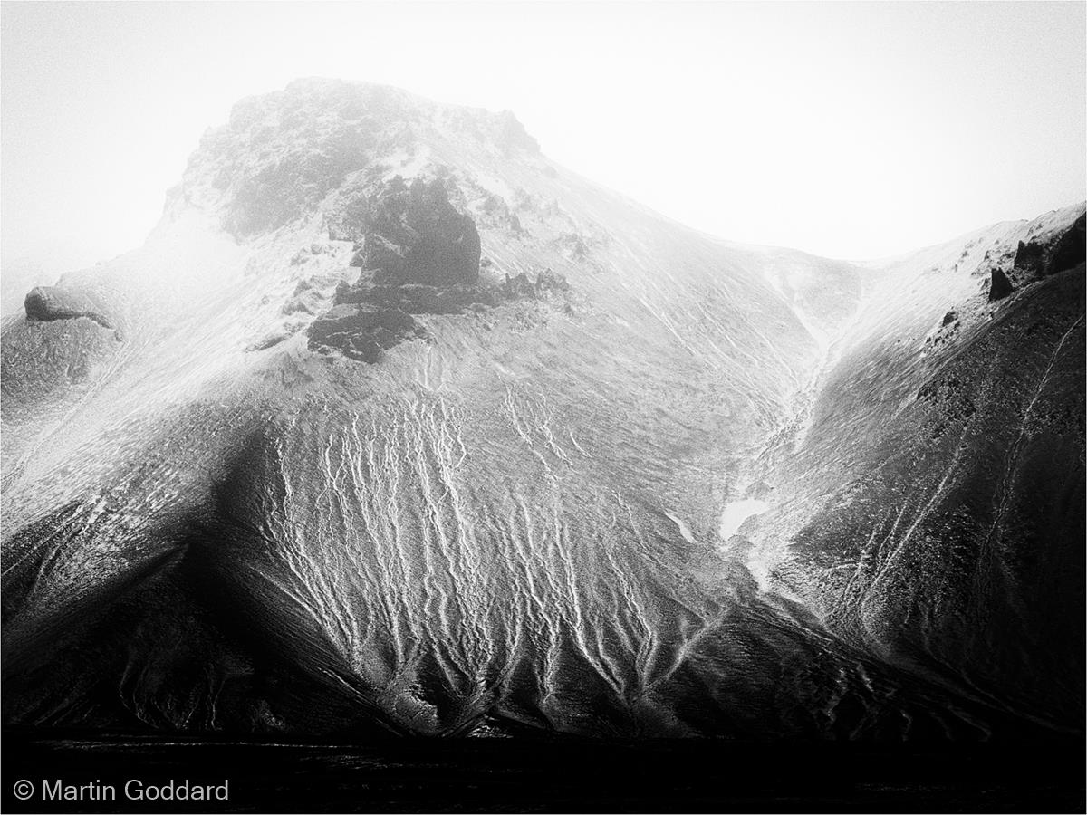 Veins by Martin Goddard