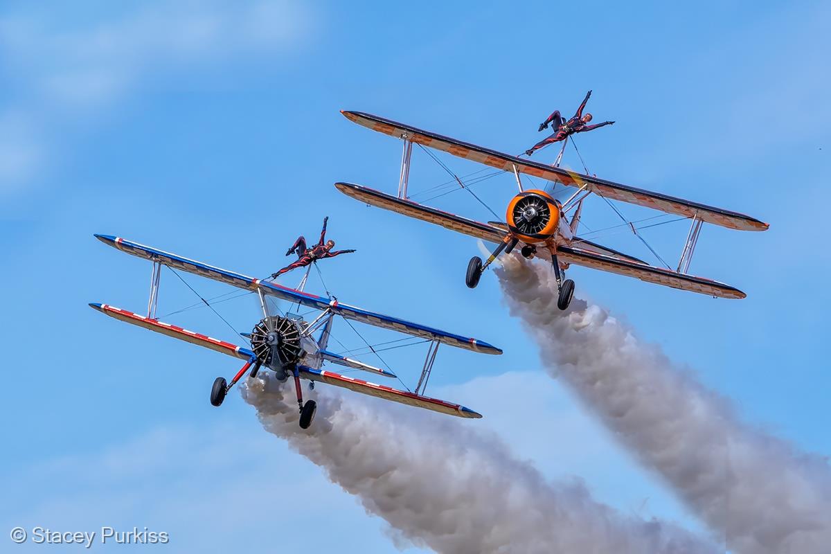Wing Walkers by Stacey Purkiss