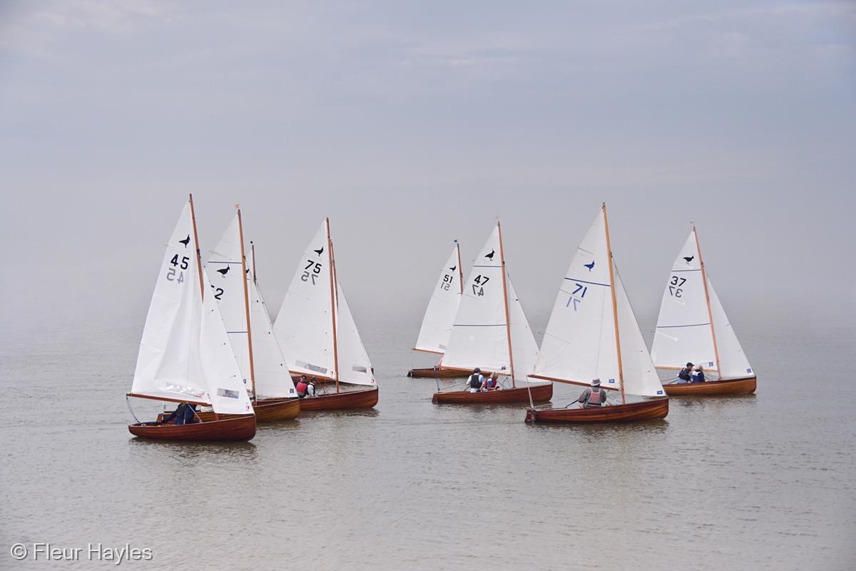 Lapwings Race, Aldeburgh Yacht Club by Fleur Hayles