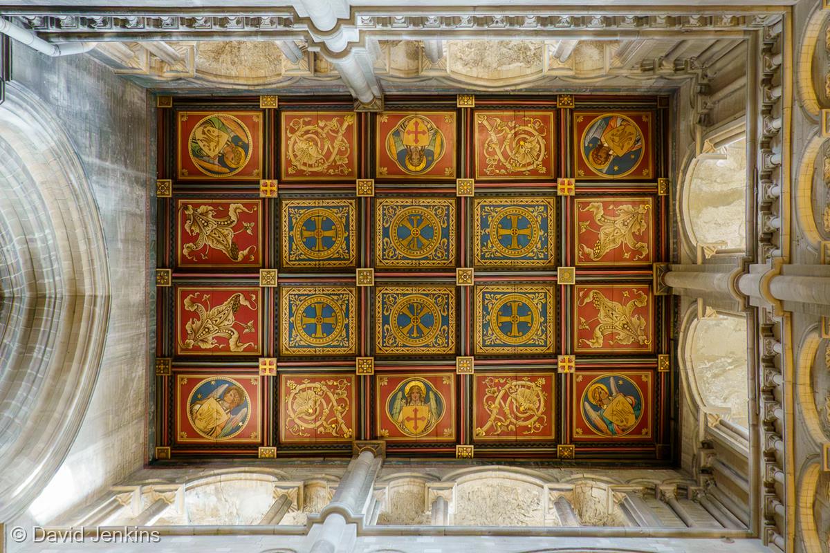 Looking Upwards by David Jenkins