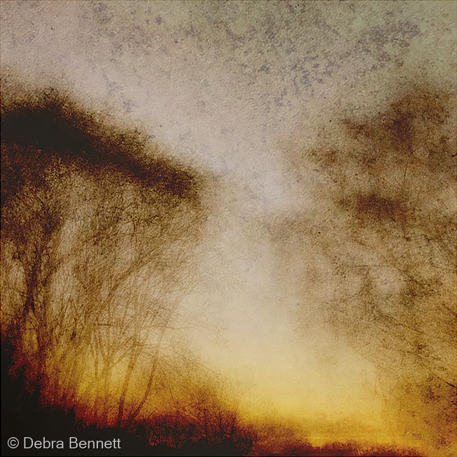November by Debra Bennett