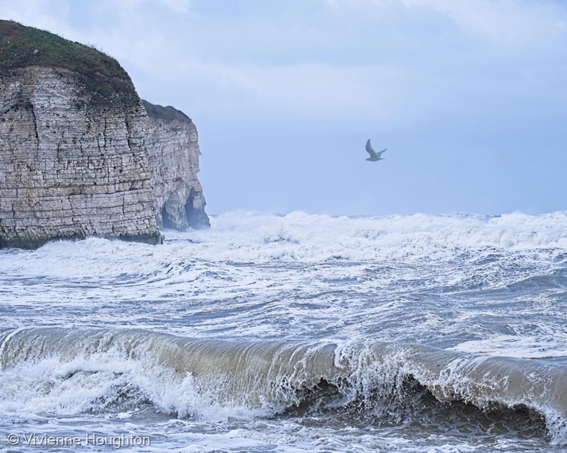 Riding the Storm by Vivienne Houghton