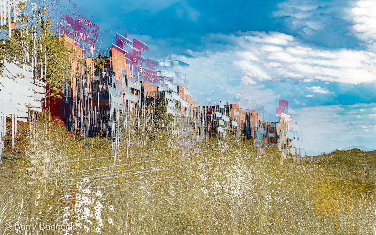 Trumpington Meadows by Barry Badcock