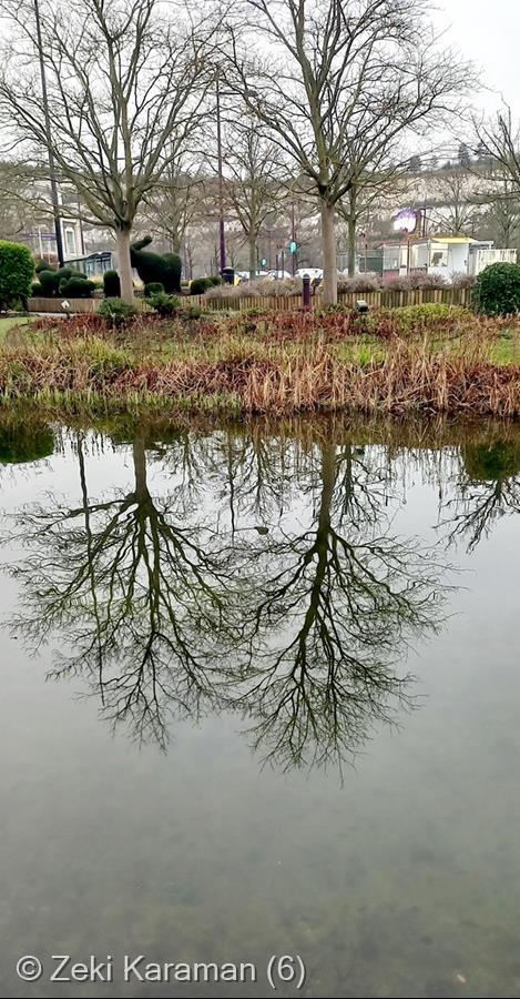 Reflection by Zeki Karaman (6)