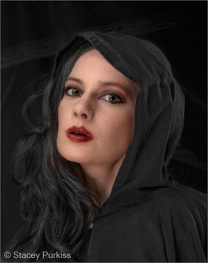 The Traitor by Stacey Purkiss