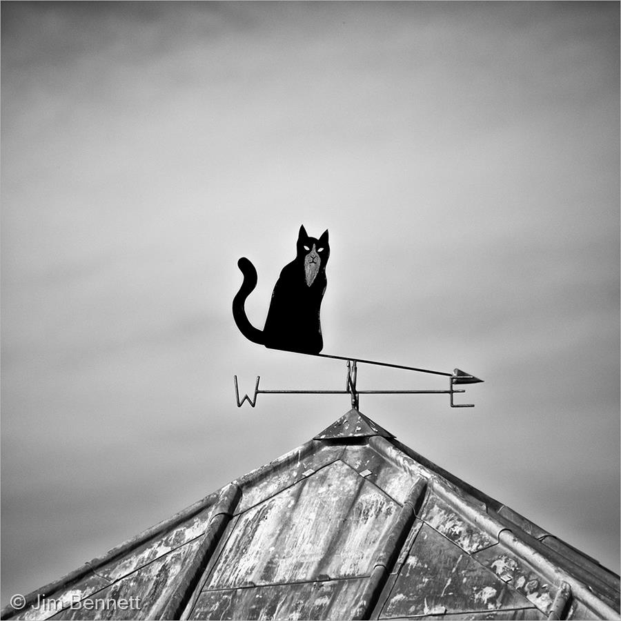 The Hot Tin Roof by Jim Bennett