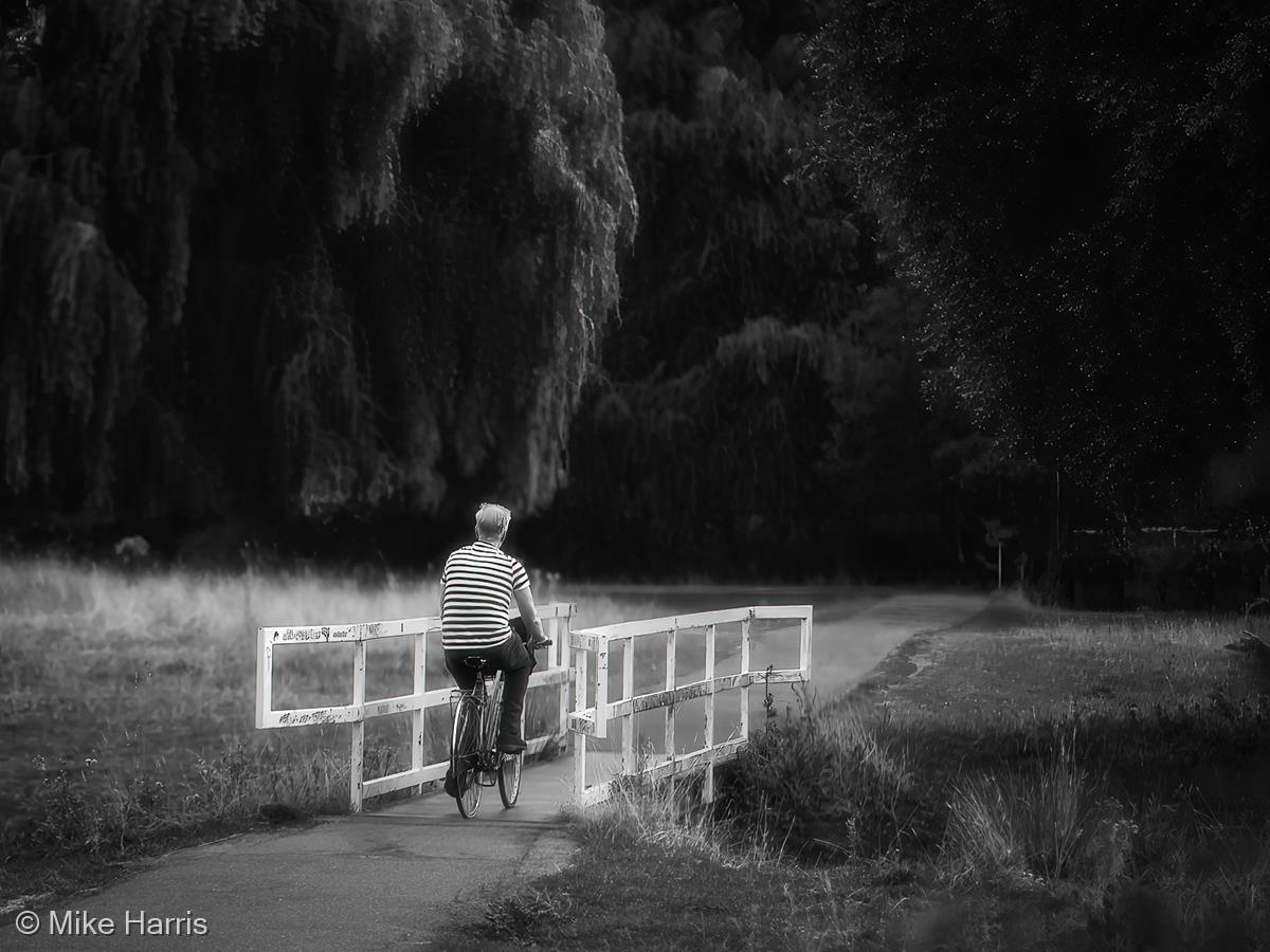 Cycling Home by Mike Harris