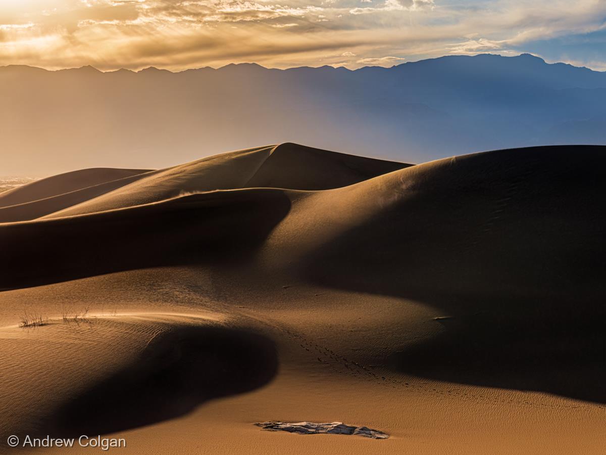 Sunset and Shadow in the Mesquite Dunes by Andrew Colgan