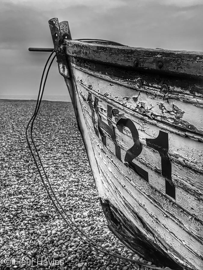 IH21 by Fleur Hayles