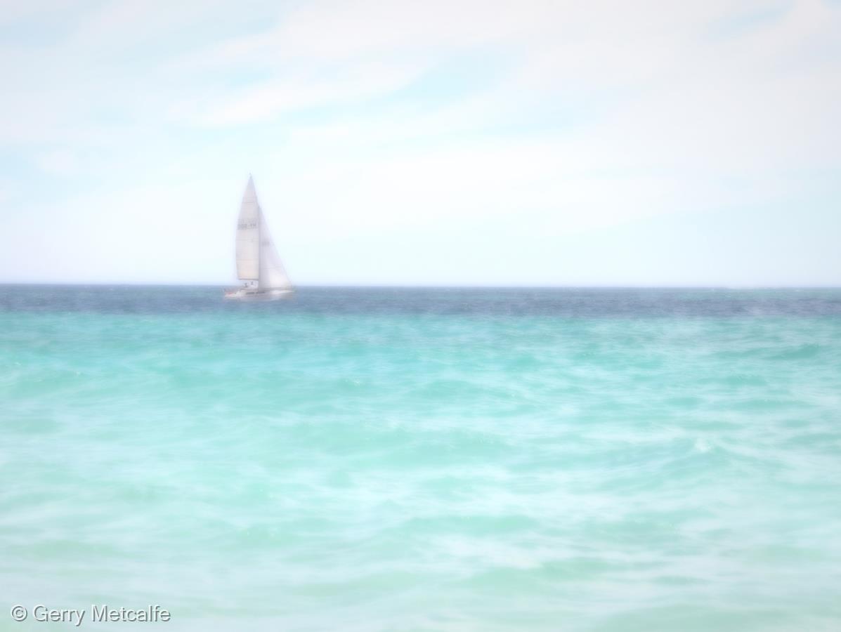 Freedom by Gerry Metcalfe