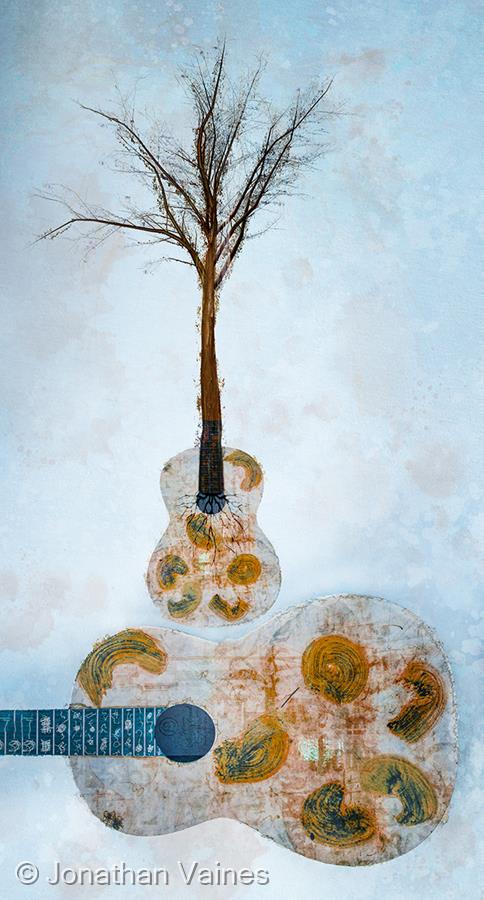 Overture of Life by Jonathan Vaines