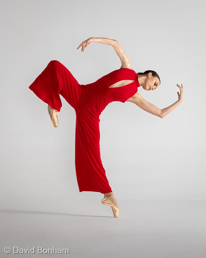 Crimson Suspension by David Bonham