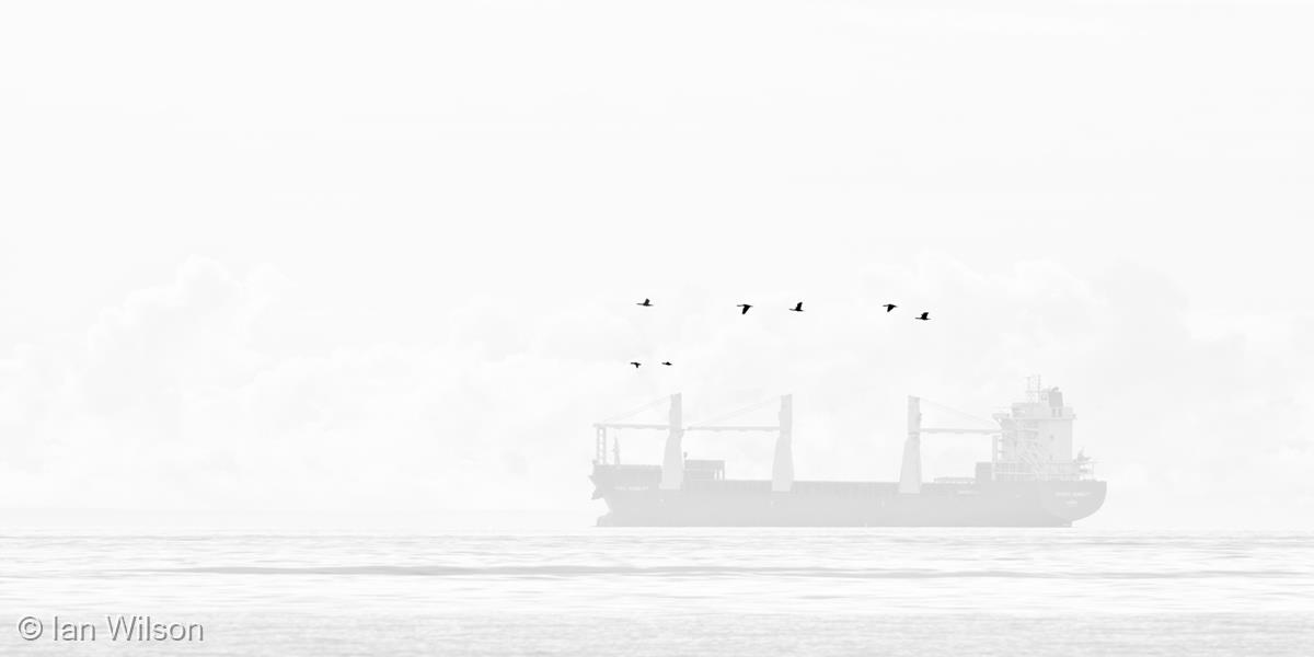 Flypast by Ian Wilson