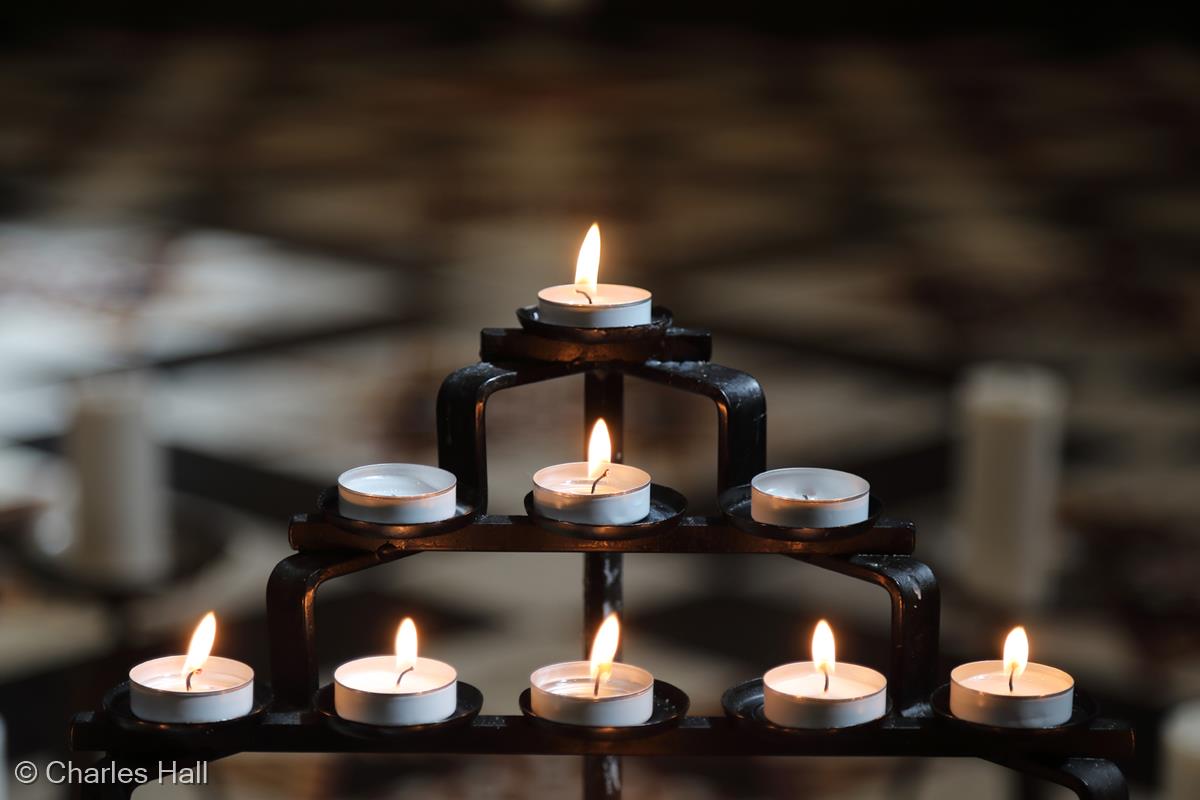 Seven out of Nine by Charles Hall