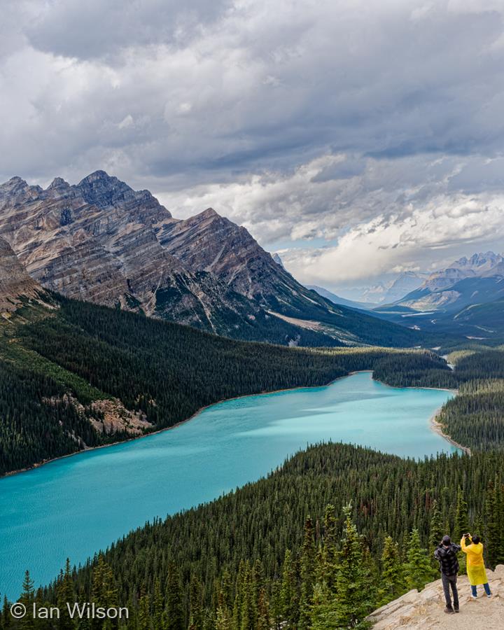 Tourists by Ian Wilson