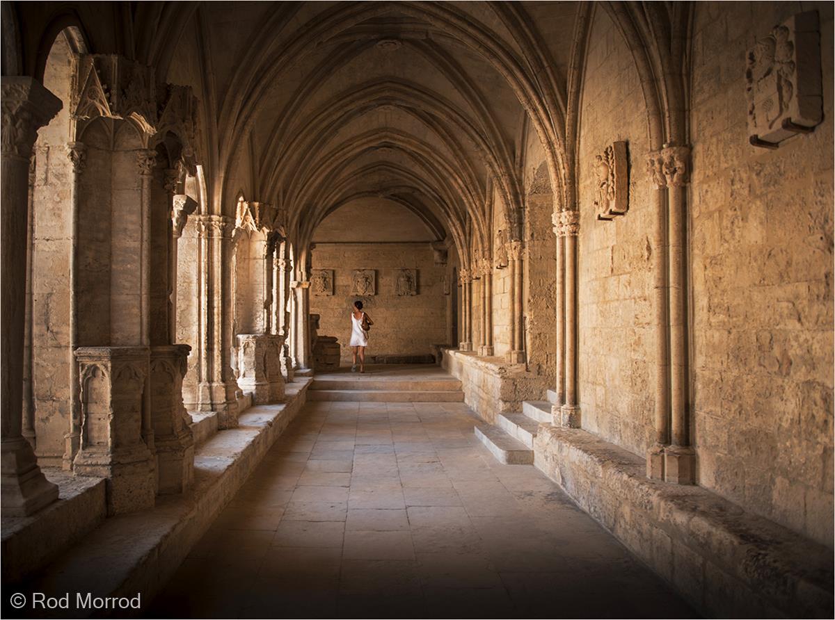 In the Cloister of St Trophime, Arles by Rod Morrod