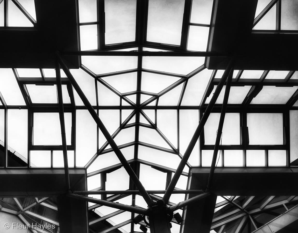 Lion Yard Roof by Fleur Hayles