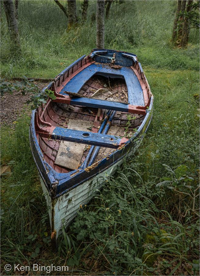 High and Dry by Ken Bingham