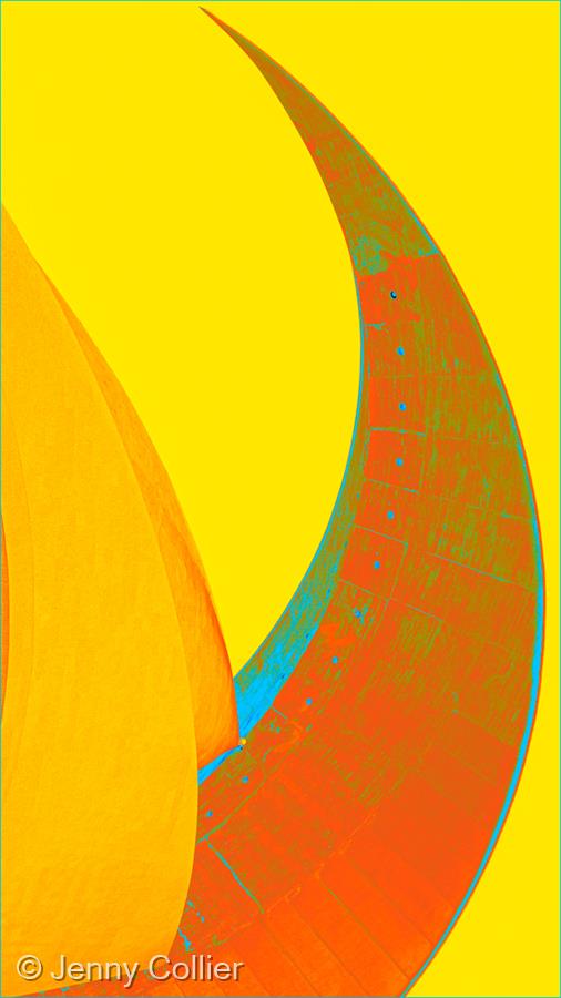 Growth by Jenny Collier