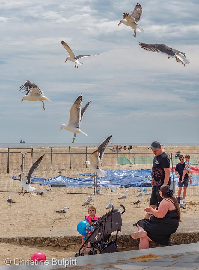 Feeding the Five Thousand by Christine Bulpitt