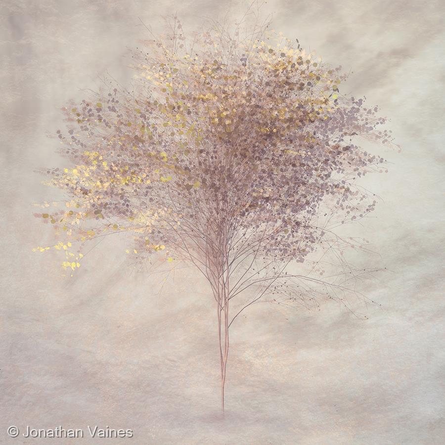 Copper Tree by Jonathan Vaines