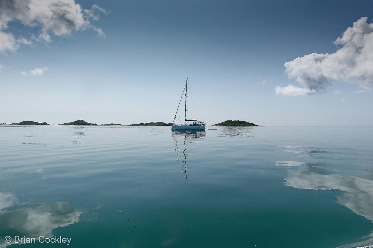 Symmetry by Brian Cockley