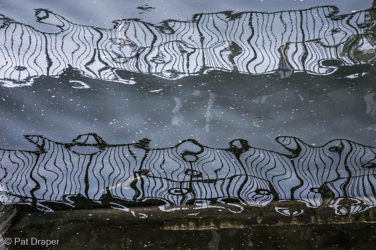 Refections in Byron's Pool by Pat Draper