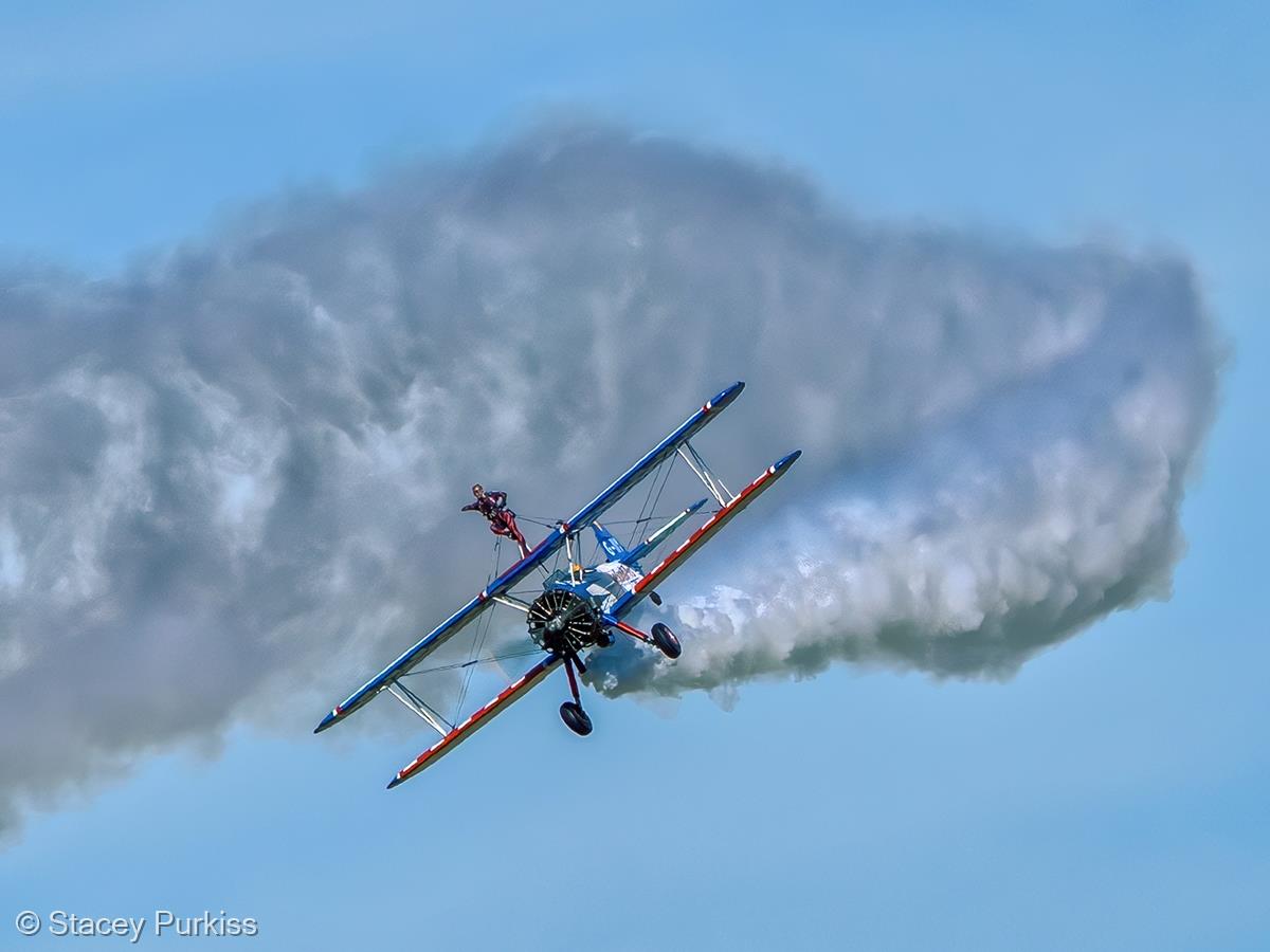 Wing Walker by Stacey Purkiss