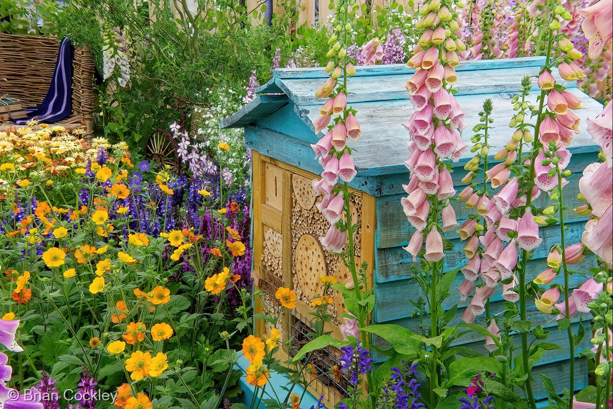 Oakington Garden Centre - Cambridge Botanic Chelsea Entry by Brian Cockley